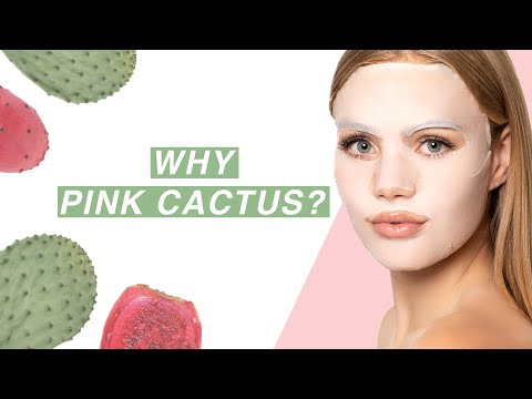 Video about the STARSKIN ORGLAMIC Pink Cactus Collection